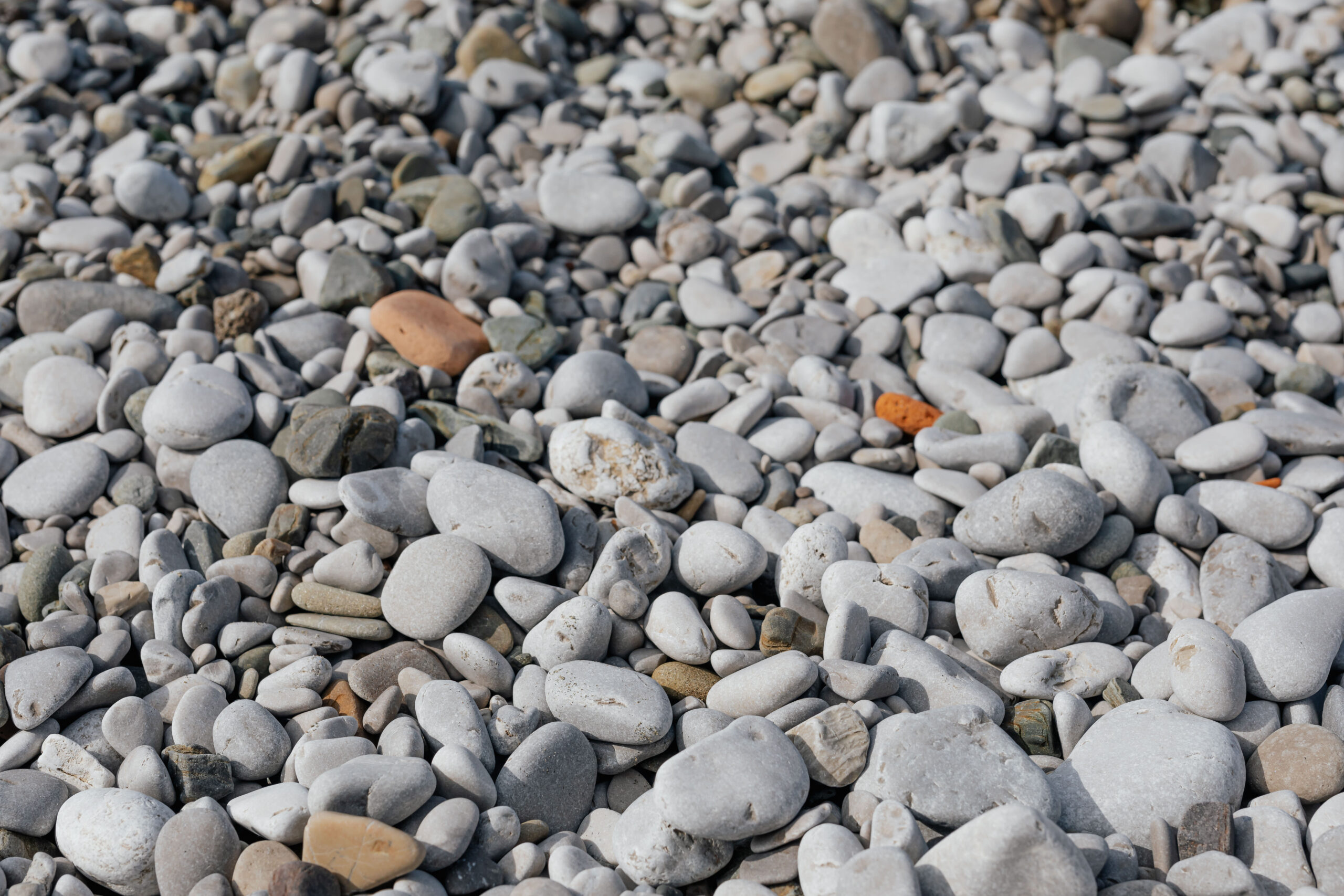 kaboompics_beach-with-stones-pebble-beach-12244