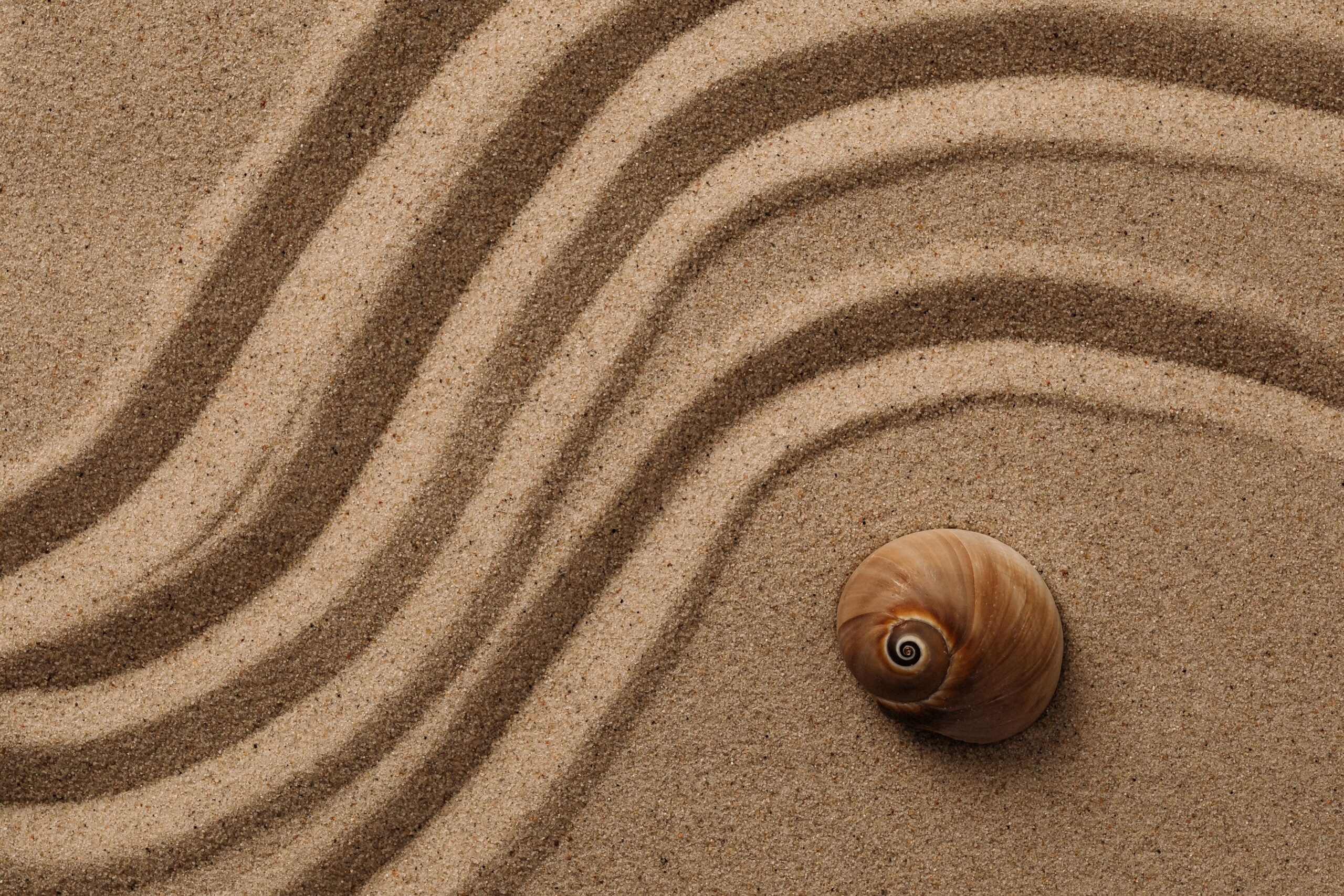 kaboompics_sandy-serenity-natures-textured-patterns-36932